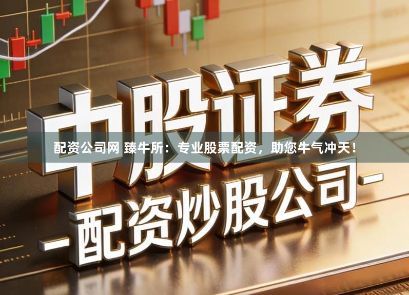 配资公司网 臻牛所：专业股票配资，助您牛气冲天！