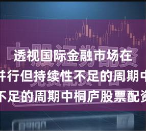 透视国际金融市场在多主题并行但持续性不足的周期中桐庐股票配资