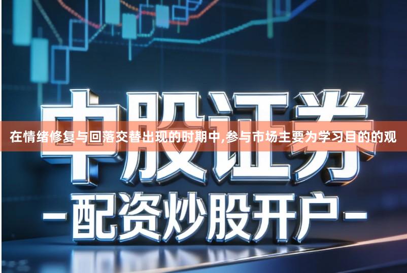 在情绪修复与回落交替出现的时期中,参与市场主要为学习目的的观