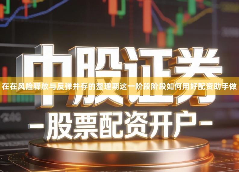 在在风险释放与反弹并存的整理期这一阶段阶段如何用好配资助手做