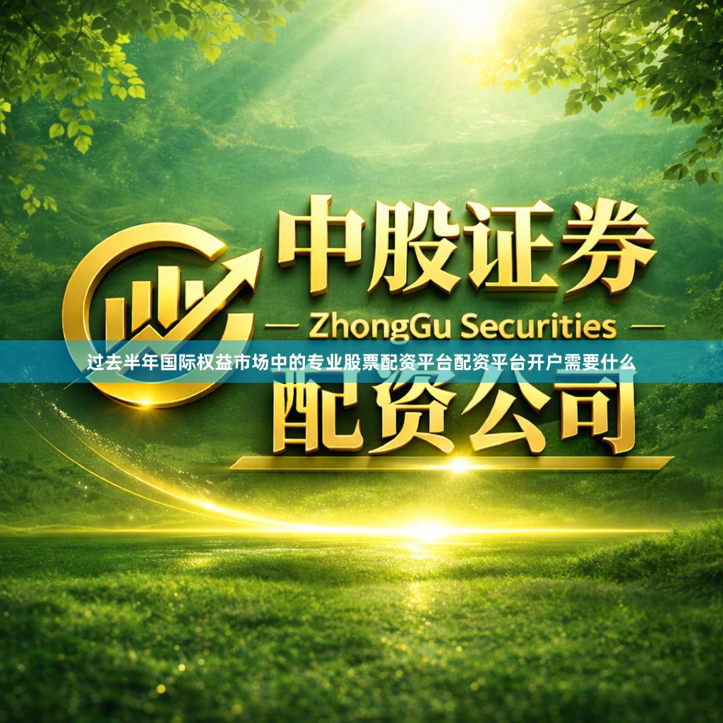 过去半年国际权益市场中的专业股票配资平台配资平台开户需要什么